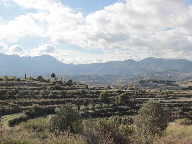 Landschaft bei Benissa
